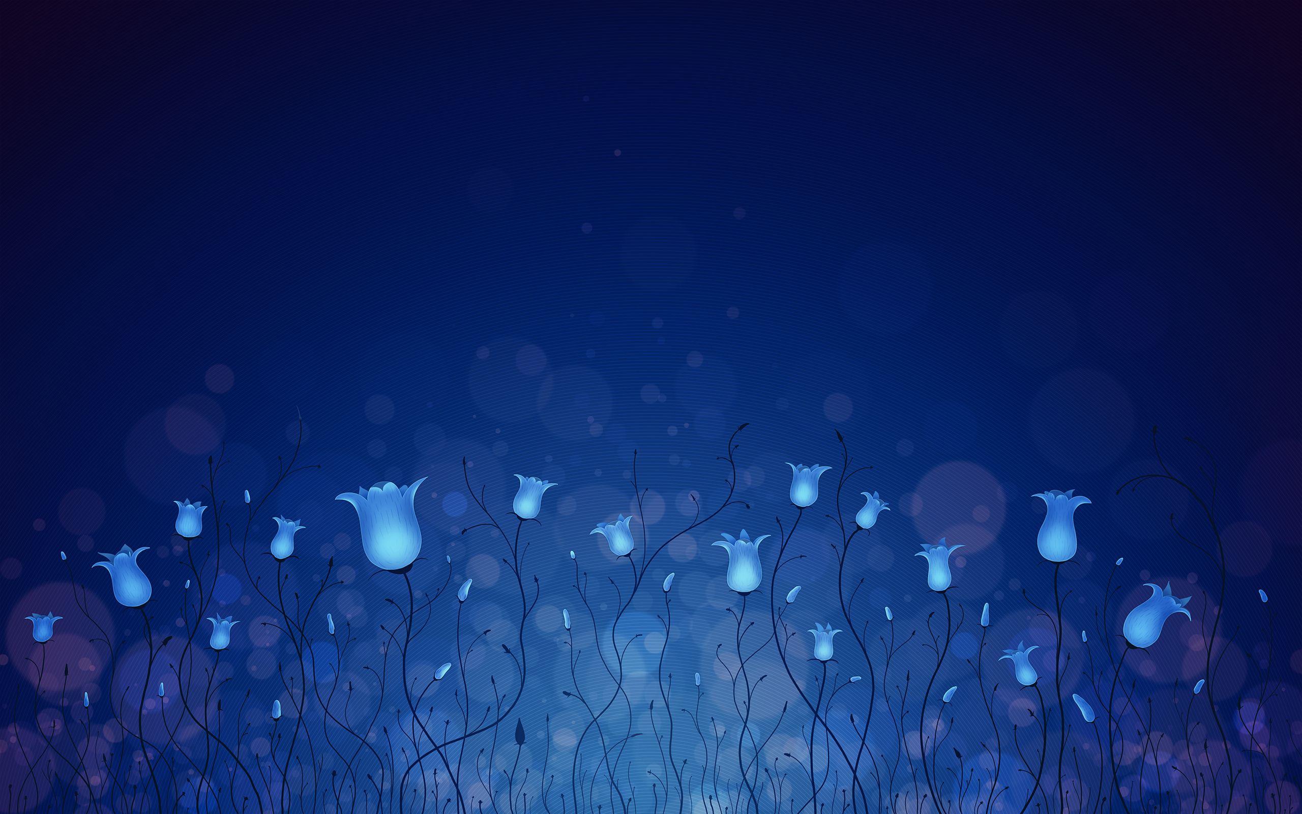flowers, Blue Wallpaper