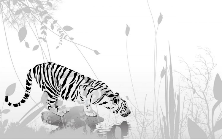 tiger, Vector, Art HD Wallpaper Desktop Background