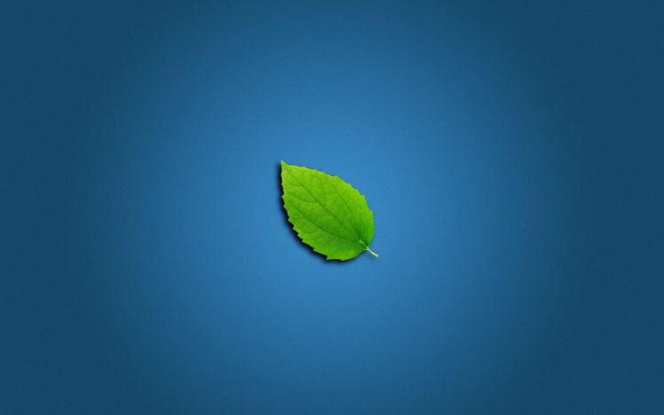 lonely, Leaf HD Wallpaper Desktop Background