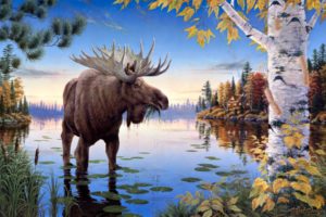 moose, Art, Mark, Daehlin, Painting, Nature, Lakes, Water, Reflection, Shore, Trees, Forest, Sky, Autumn, Fall