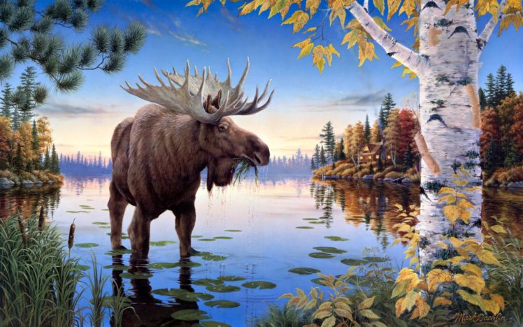 moose, Art, Mark, Daehlin, Painting, Nature, Lakes, Water, Reflection, Shore, Trees, Forest, Sky, Autumn, Fall HD Wallpaper Desktop Background