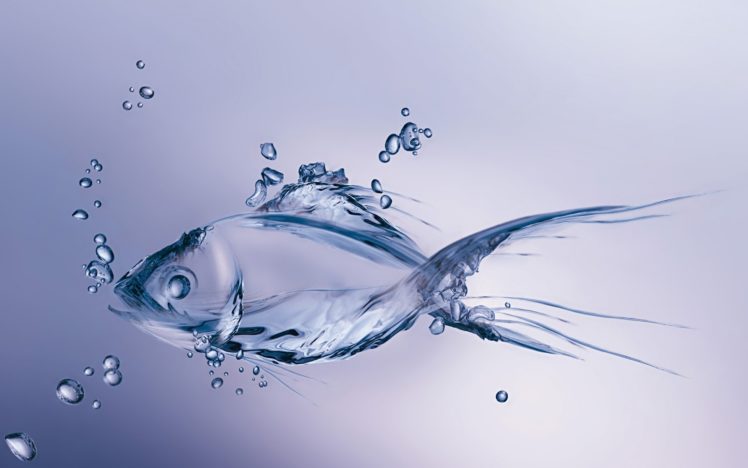 fish, Water, Artistic HD Wallpaper Desktop Background