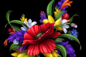 flowers, Bouquet, Poppy, Petals