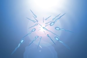 sperm, Abstraction, Abstract, Bokeh, Life, Sex, Sexual, Medical, Dna, Male, Man, Men, 1sperm, Mating, Psychedelic, Egg, Cell, Eggs, Swim, Swimming, Vector