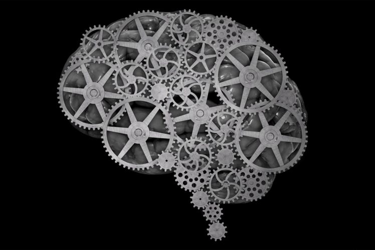 brain, Anatomy, Medical, Head, Skull, Gear, Gears, Psychedelic HD Wallpaper Desktop Background