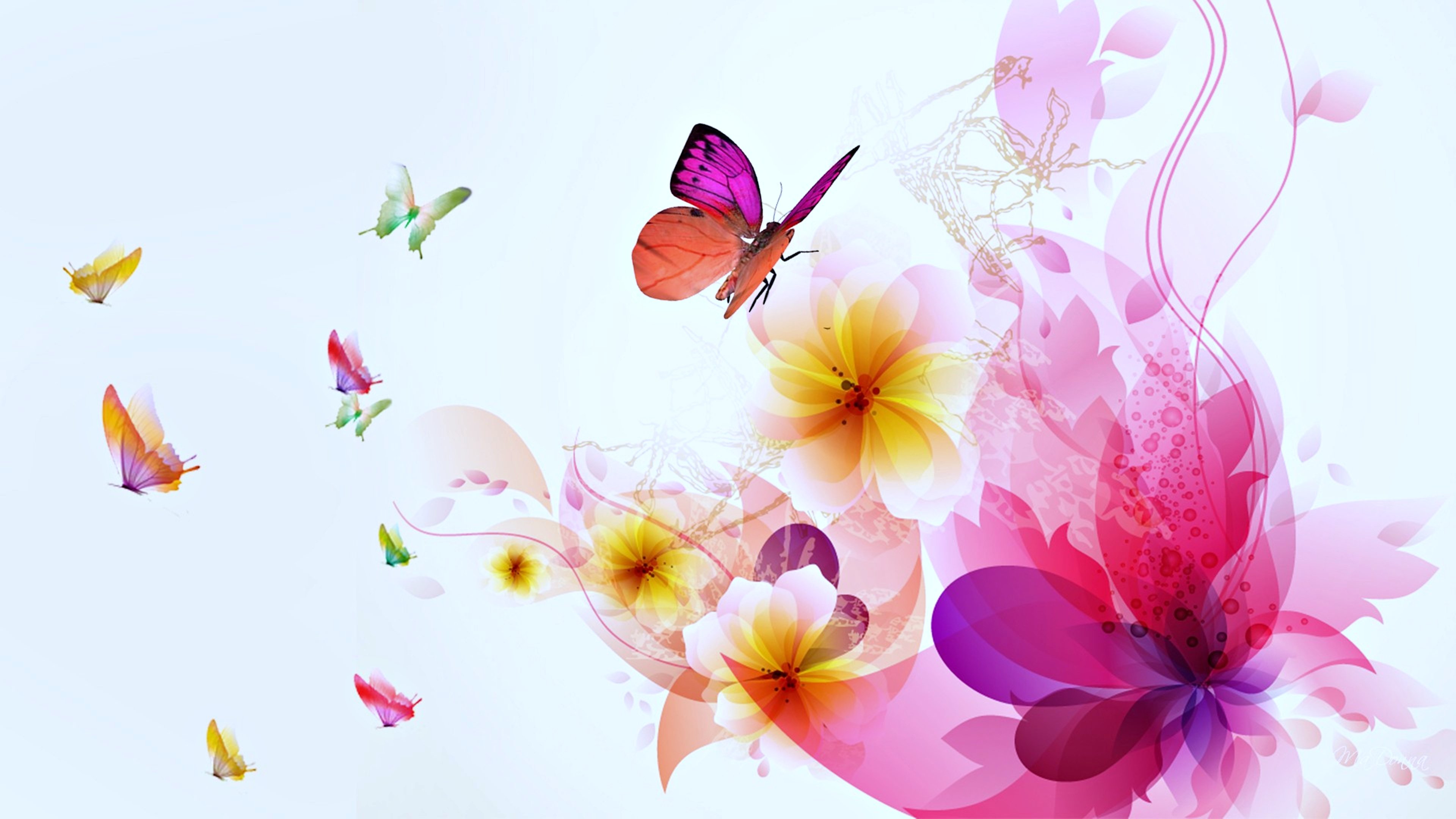 Beauty Butterflies Magical Wallpapers Flowers