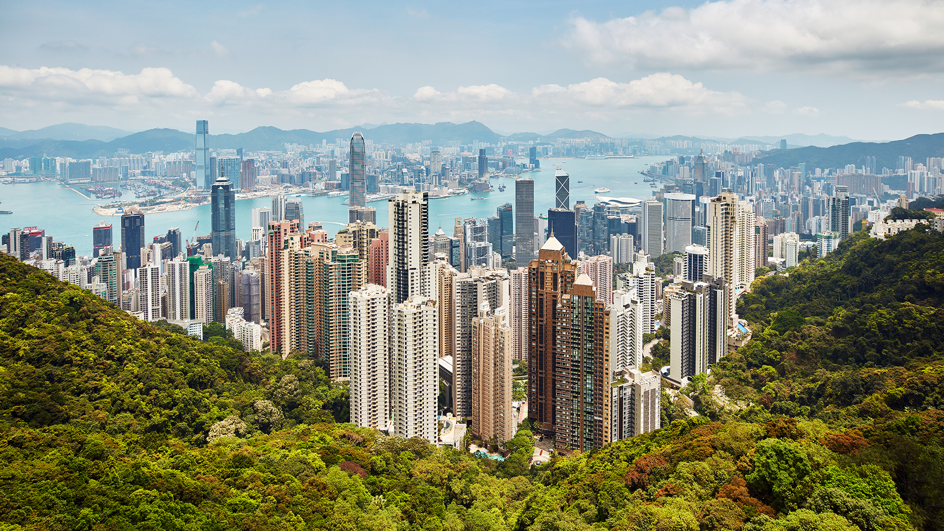 Hong Kong, Cityscape, Building, Trees Wallpaper