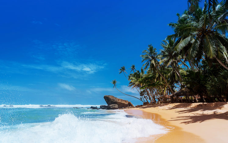 landscape, Beach, Nature, Palm trees, Waves HD Wallpaper Desktop Background