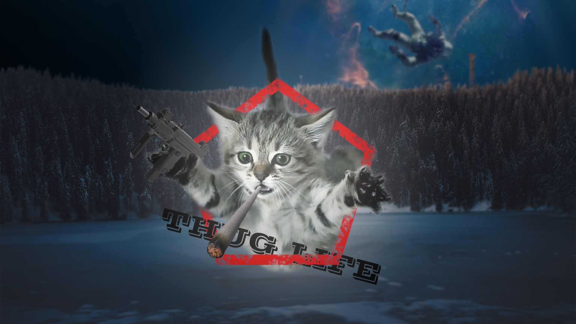 gangster, Astronaut, Ps, Thug life, Cat, Forest, Lake Wallpaper