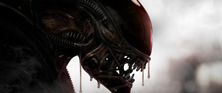 Alien (movie), Movies HD Wallpaper Desktop Background