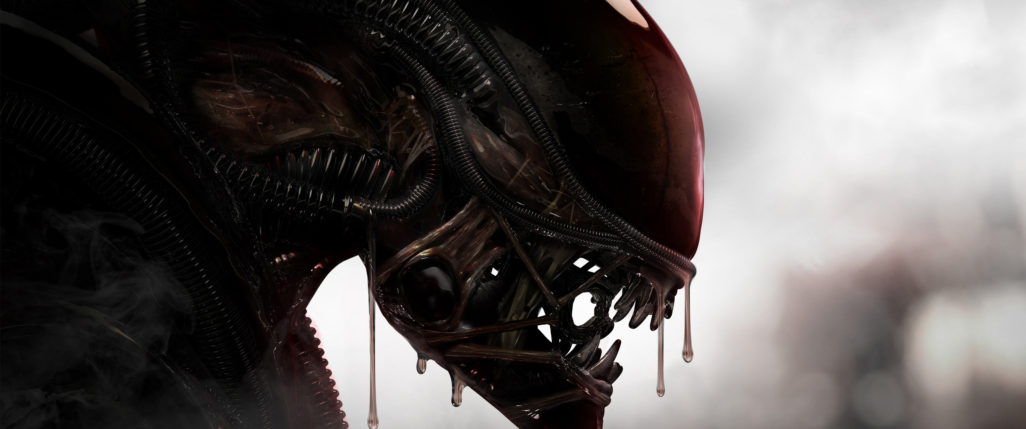 Alien (movie), Movies Wallpaper