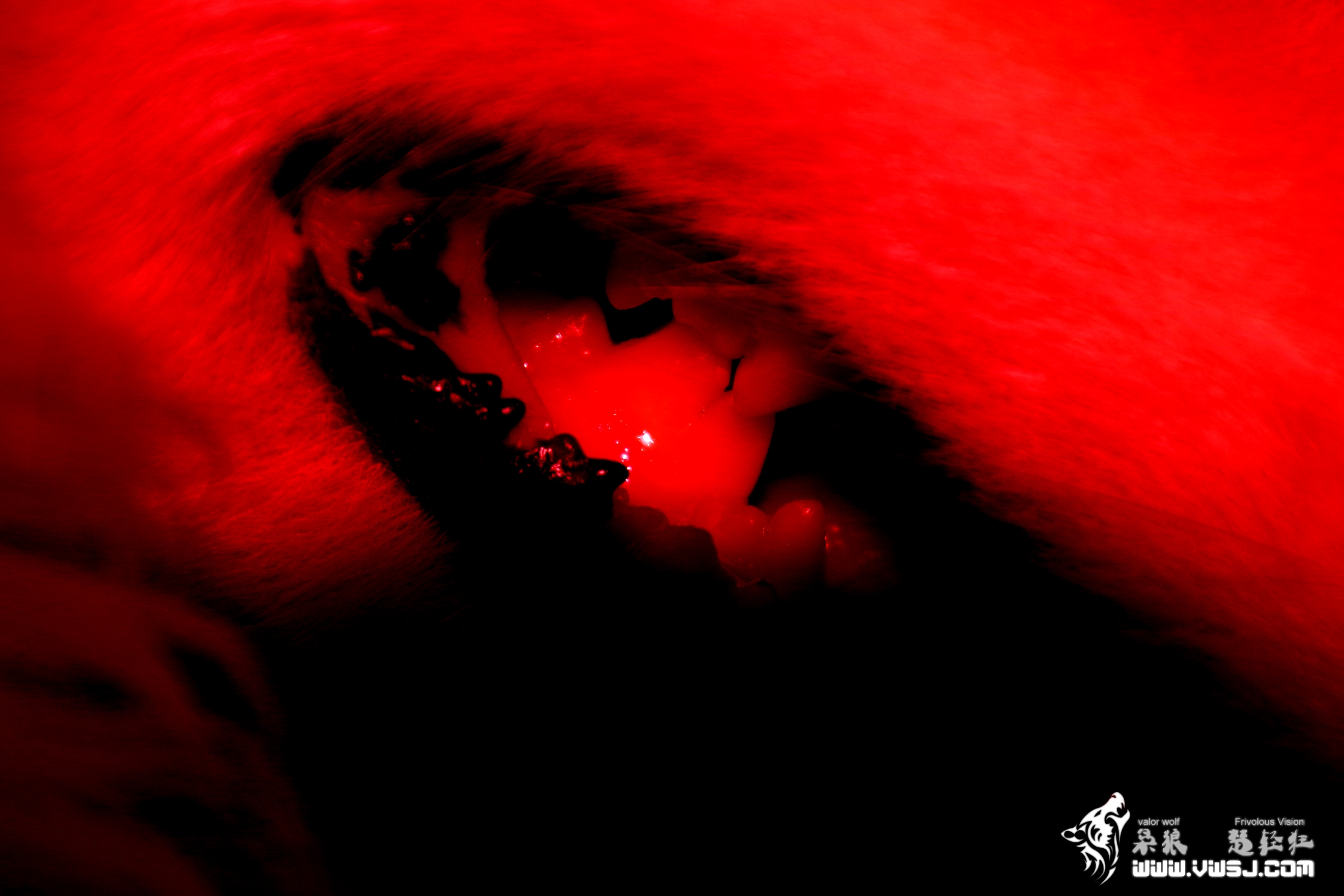 Sephie Michaela Deviluke, Valor wolf Wallpaper