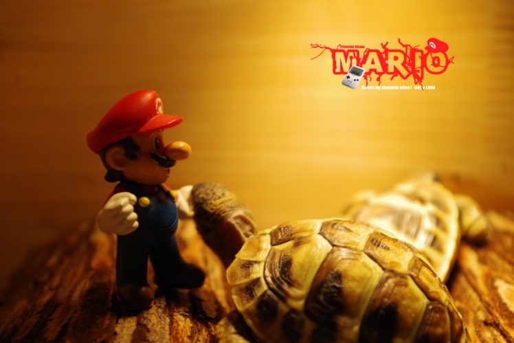 Super Mario, Video games, Humor HD Wallpaper Desktop Background