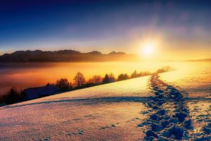 sunlight, Nature, Winter, Snow, Landscape