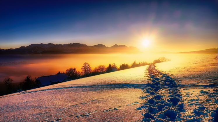 sunlight, Nature, Winter, Snow, Landscape HD Wallpaper Desktop Background