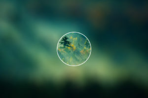 forest, Minimalism, Nature, Blurred, Circle, Trees