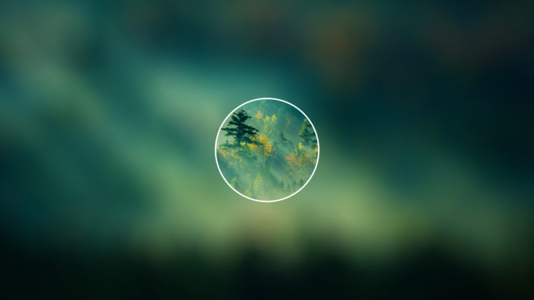 forest, Minimalism, Nature, Blurred, Circle, Trees HD Wallpaper Desktop Background
