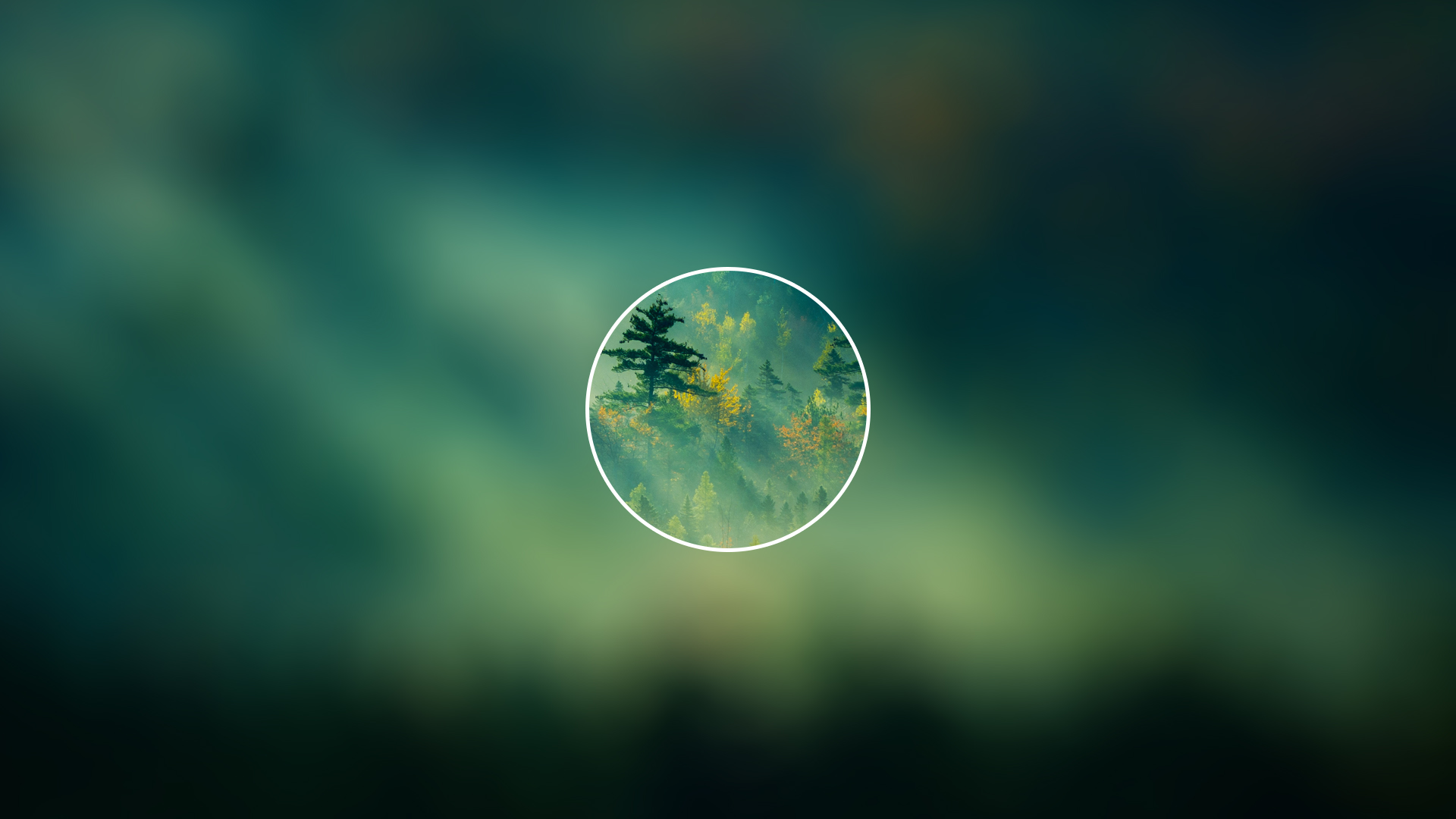 forest, Minimalism, Nature, Blurred, Circle, Trees Wallpaper