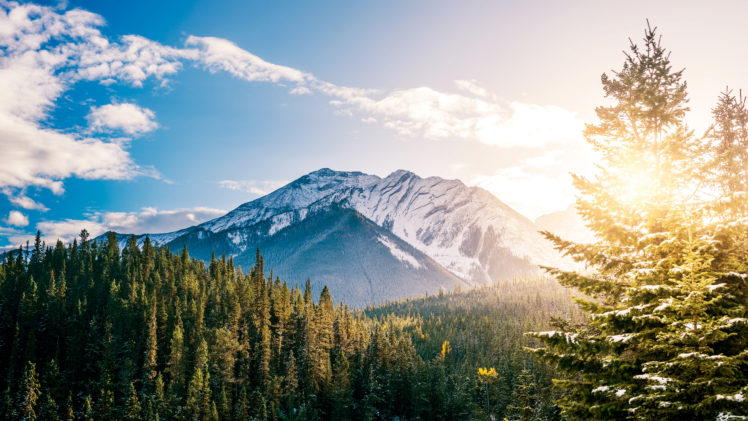 landscape, Mountains, Clouds, Forest, Nature, Sunlight, Snowy peak HD Wallpaper Desktop Background