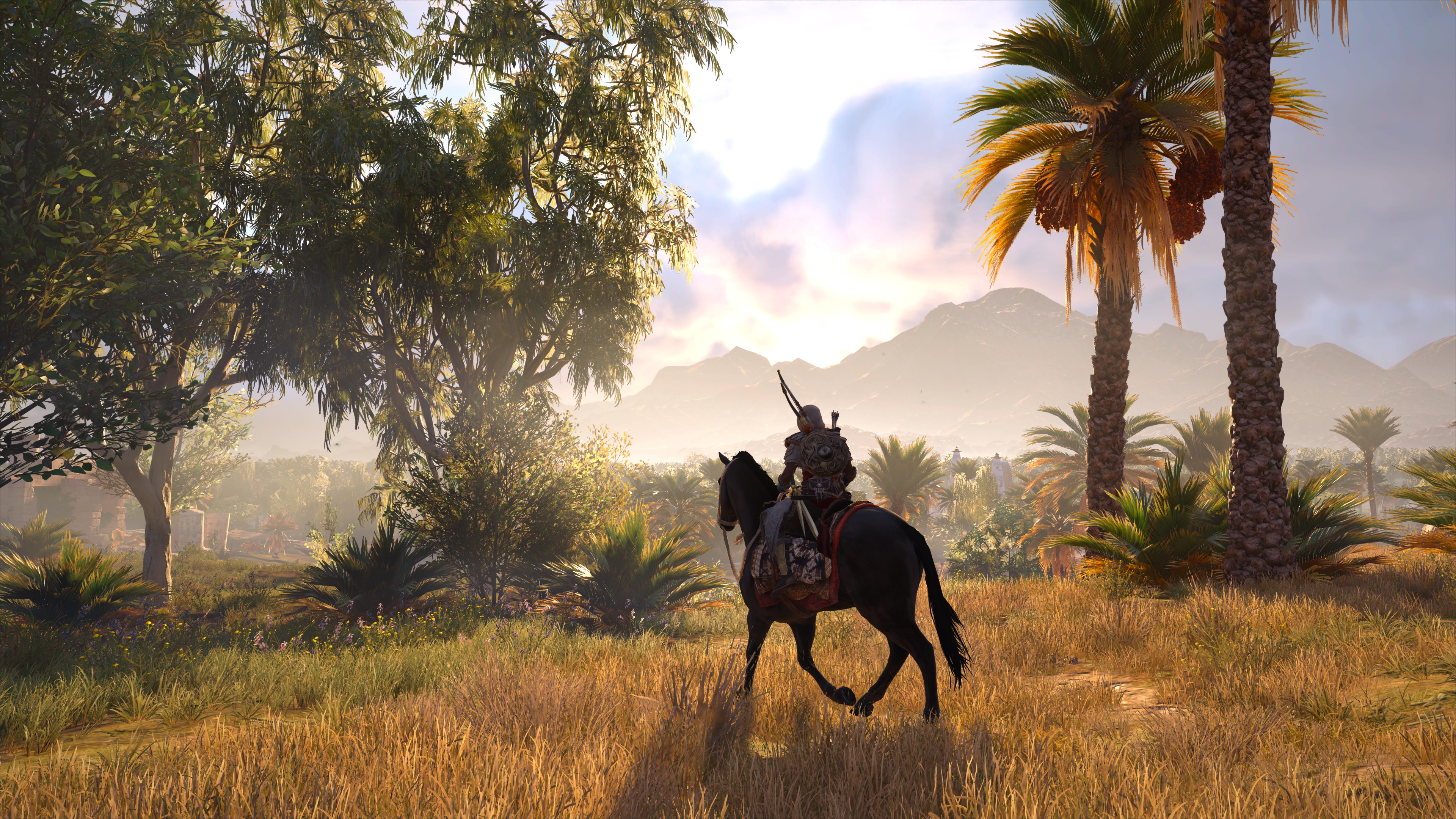 Assassins Creed, Assassins Creed: Origins, Video games, Horse, Palm trees, Trees, Nature, Egypt Wallpaper
