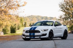 car, Nature, Depth of field, Ford Mustang Shelby, Shelby GT350