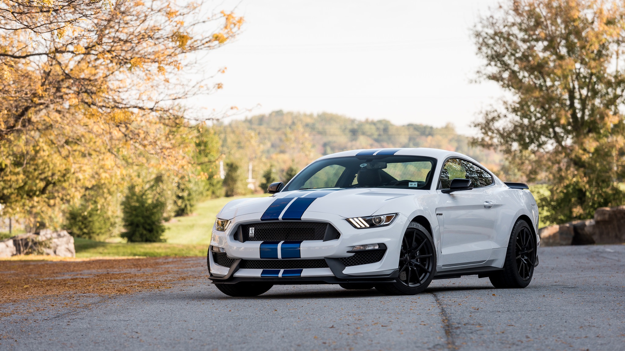 car, Nature, Depth of field, Ford Mustang Shelby, Shelby GT350 Wallpaper