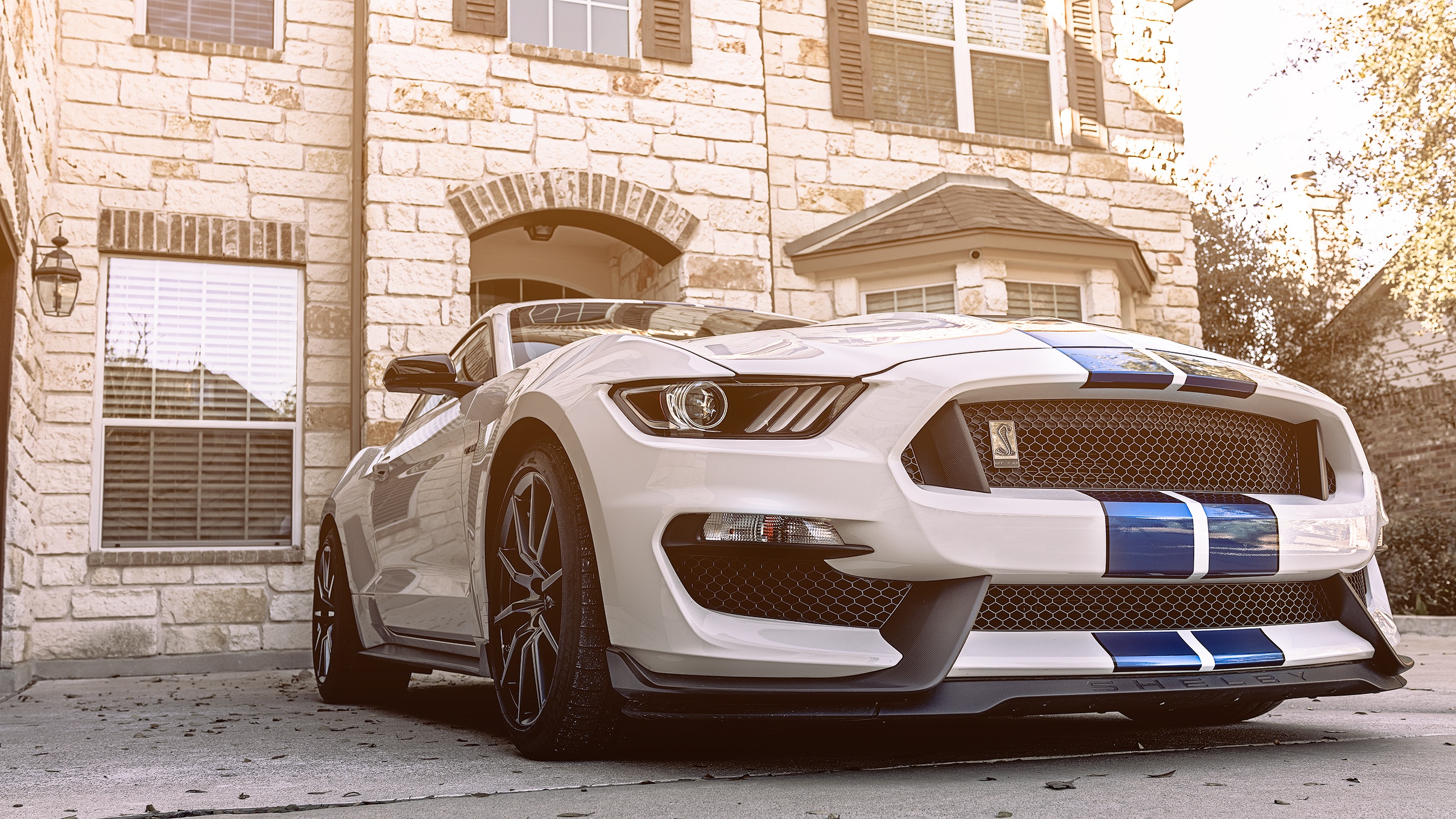 car, Depth of field, Ford Mustang Shelby, Shelby GT350 Wallpaper