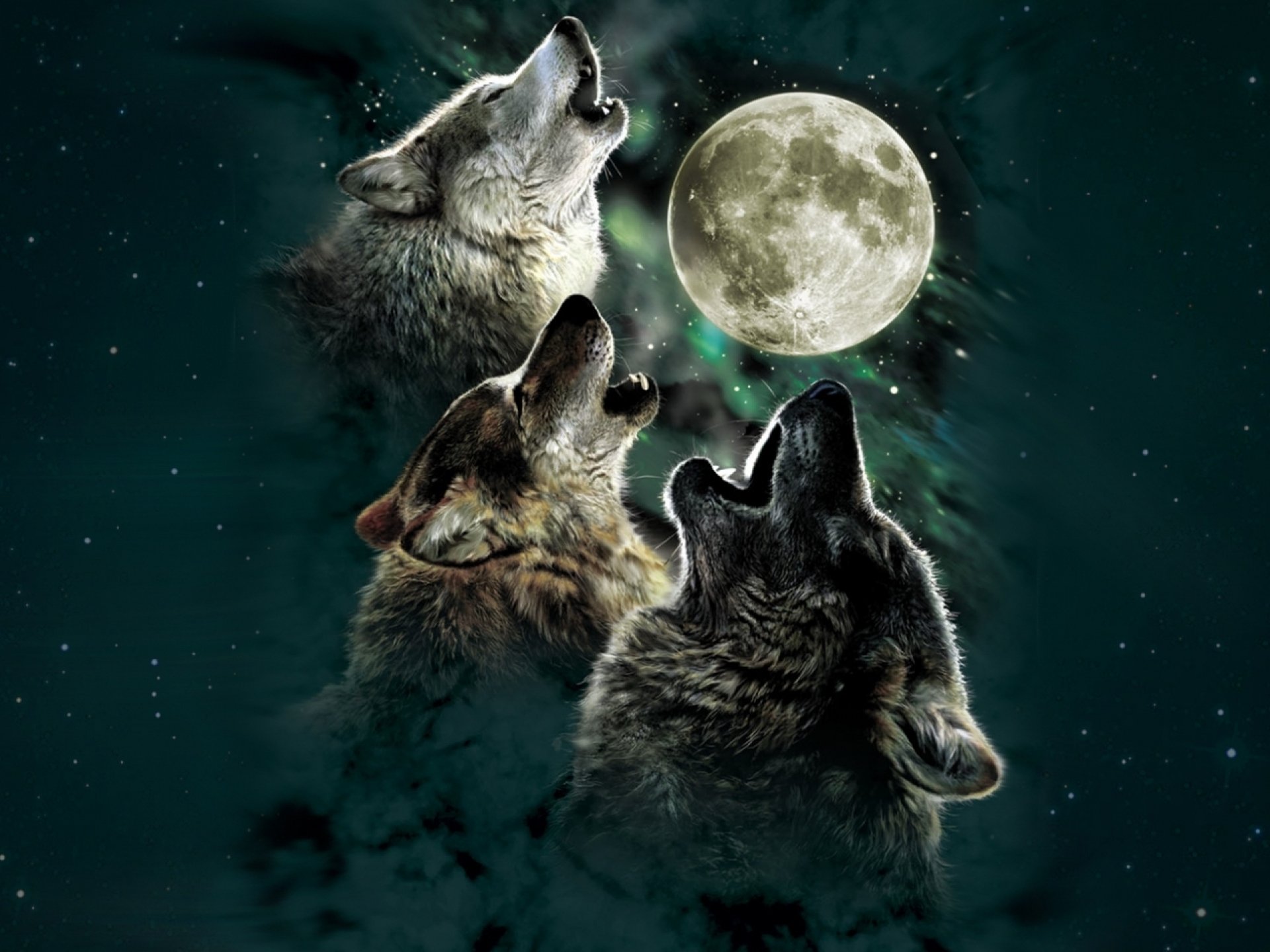 wolf, Wolves, Predator, Carnivore, Night, Moon, Stars, Howl, Artwork Wallpaper