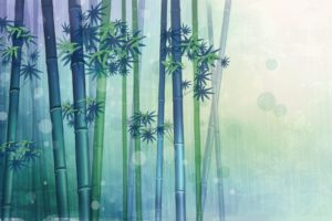 bamboo, Wall, Paper