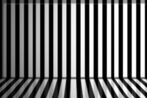 zebra, Stripes