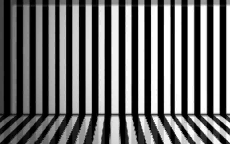 zebra, Stripes HD Wallpaper Desktop Background