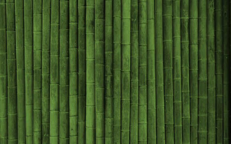 bamboo, Textures HD Wallpaper Desktop Background