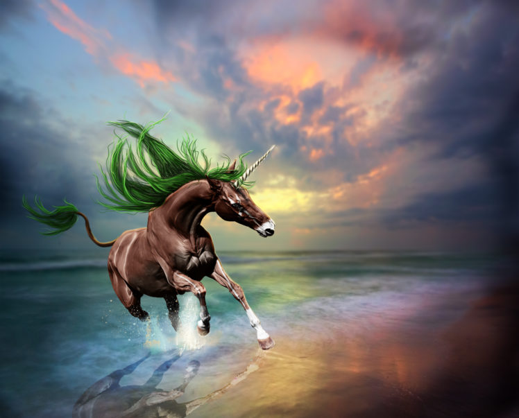 magical, Animals, Unicorns, Coast, Run, Fantasy HD Wallpaper Desktop Background