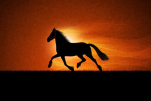 running, Horse