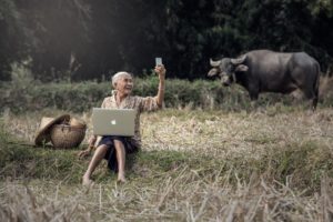 person, Laptop, Apple, Macbook, Iphone, Cell, Phone, Grass, People