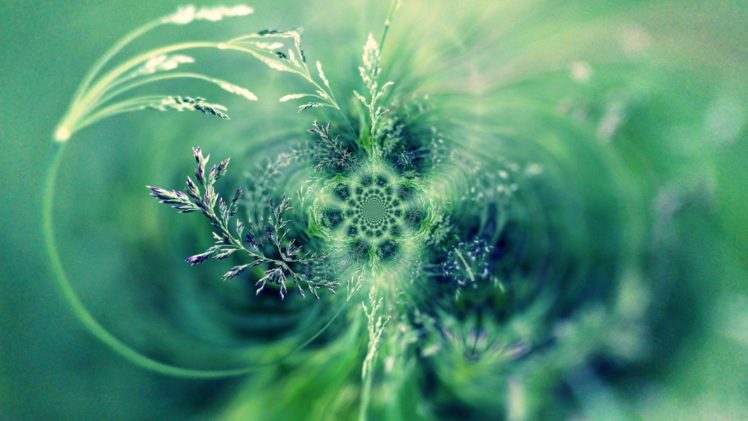 naturaleza, Abstracto, Fractal HD Wallpaper Desktop Background