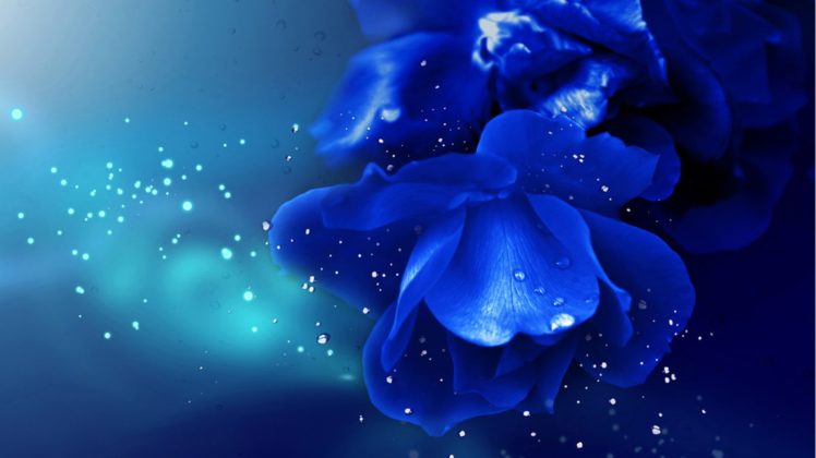 brilliant, Blue, Enchantress HD Wallpaper Desktop Background