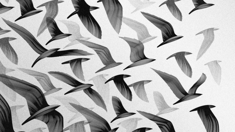 birds, Digital, Art HD Wallpaper Desktop Background