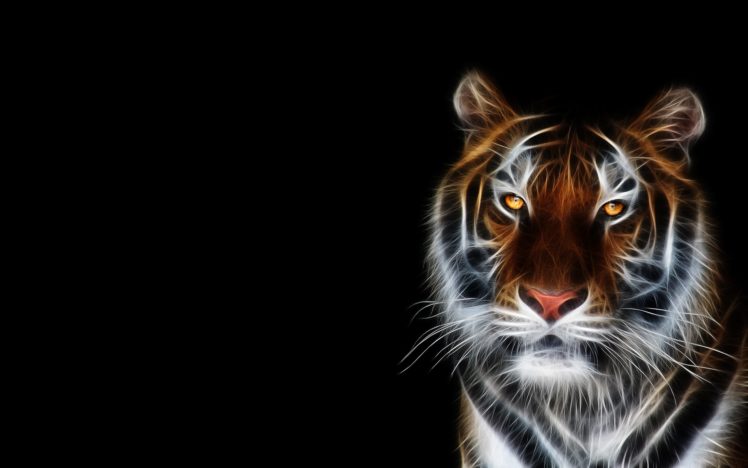 tigers, Fractalius, Black, Background HD Wallpaper Desktop Background