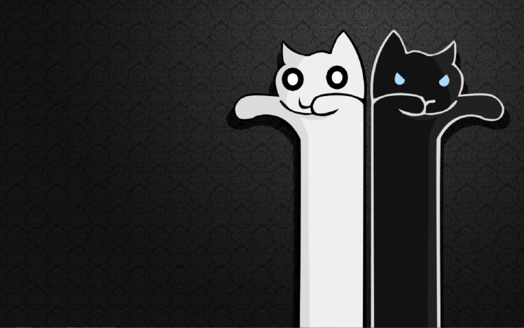 black, White, Cats, Longcat, Tacgnol HD Wallpaper Desktop Background