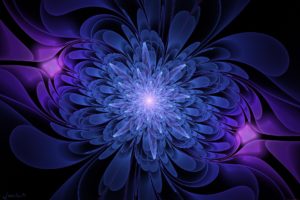 black, Background, Blue, And, Serenevy, Color, Graphics, Flower