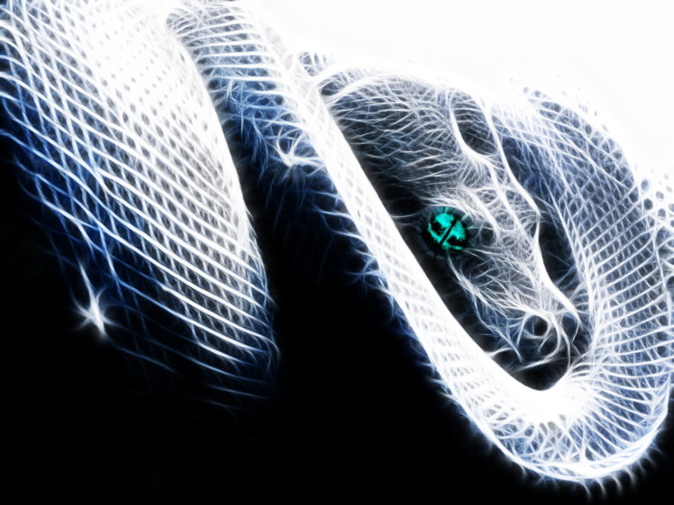 fractalius, Snakes HD Wallpaper Desktop Background