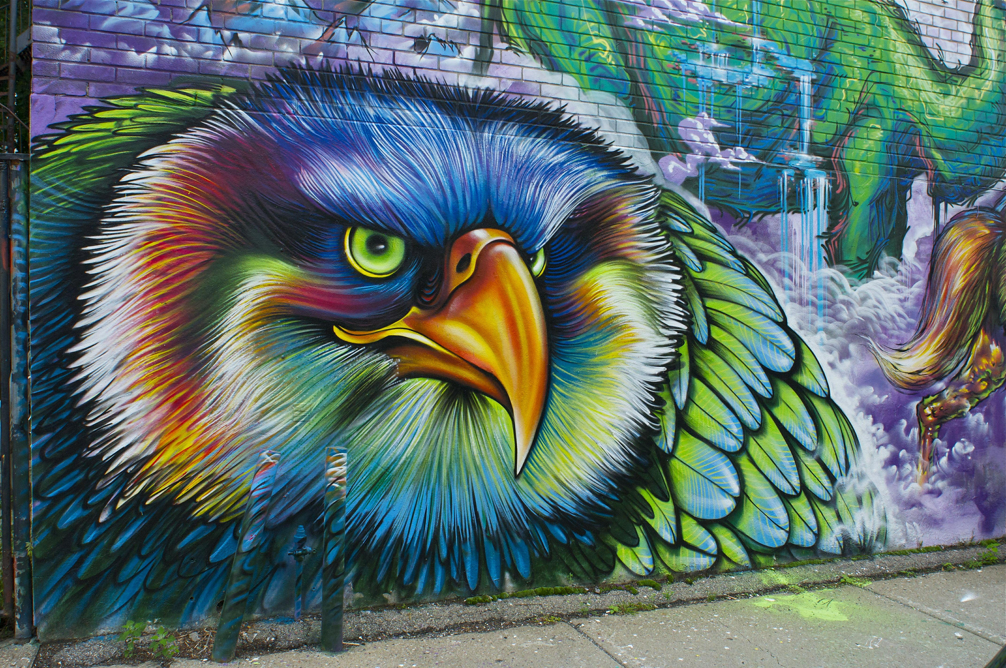 graffiti, Wall, Bird, Psychedelic Wallpaper