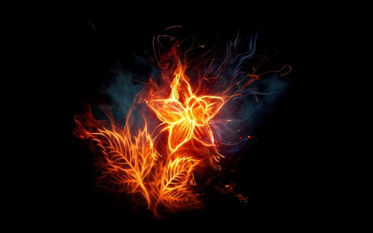 flames, Flowers, Fire, Blaze, Photomanipulations, Black, Background, Fire, Flower HD Wallpaper Desktop Background
