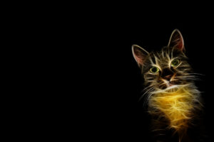 cats, Fractalius, Simple, Background