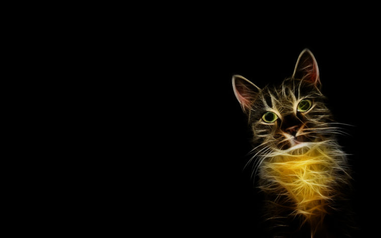 cats, Fractalius, Simple, Background HD Wallpaper Desktop Background
