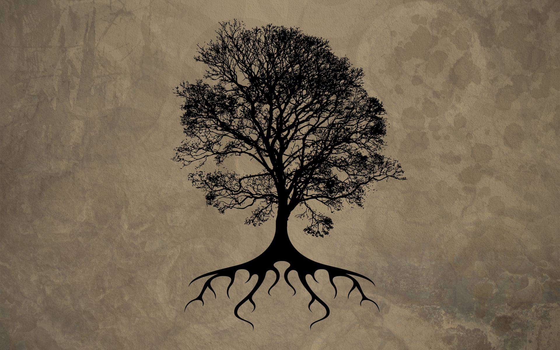 trees, Silhouette, Roots Wallpaper