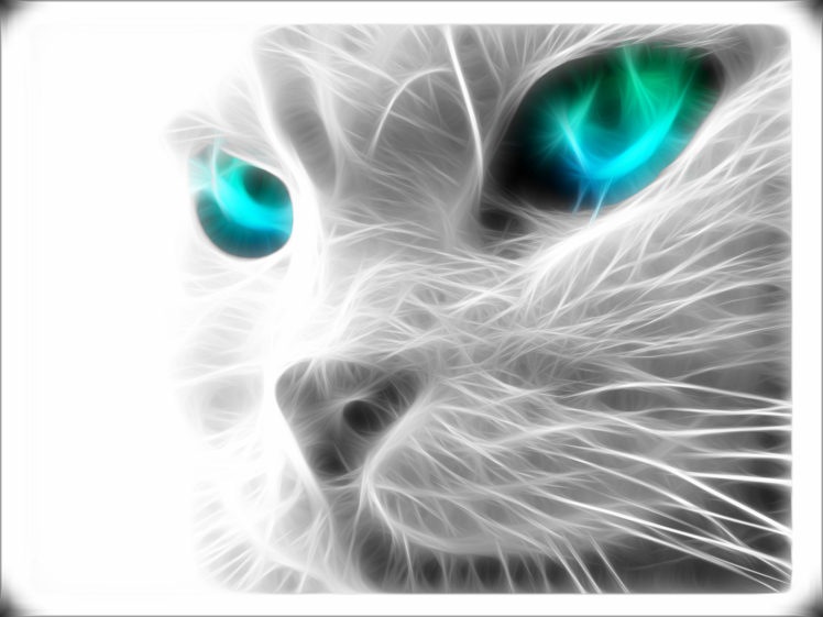 cats, Fractalius HD Wallpaper Desktop Background