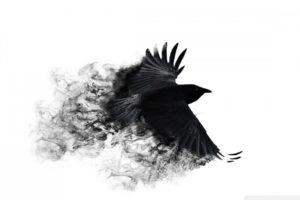 minimalistic, Crows, White, Background