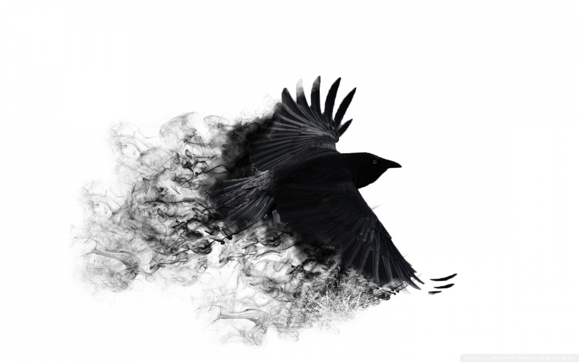 minimalistic, Crows, White, Background Wallpaper